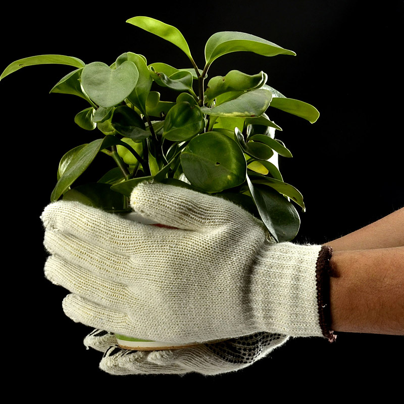 Gants de travail de sécurité à pois en PVC FL-7259